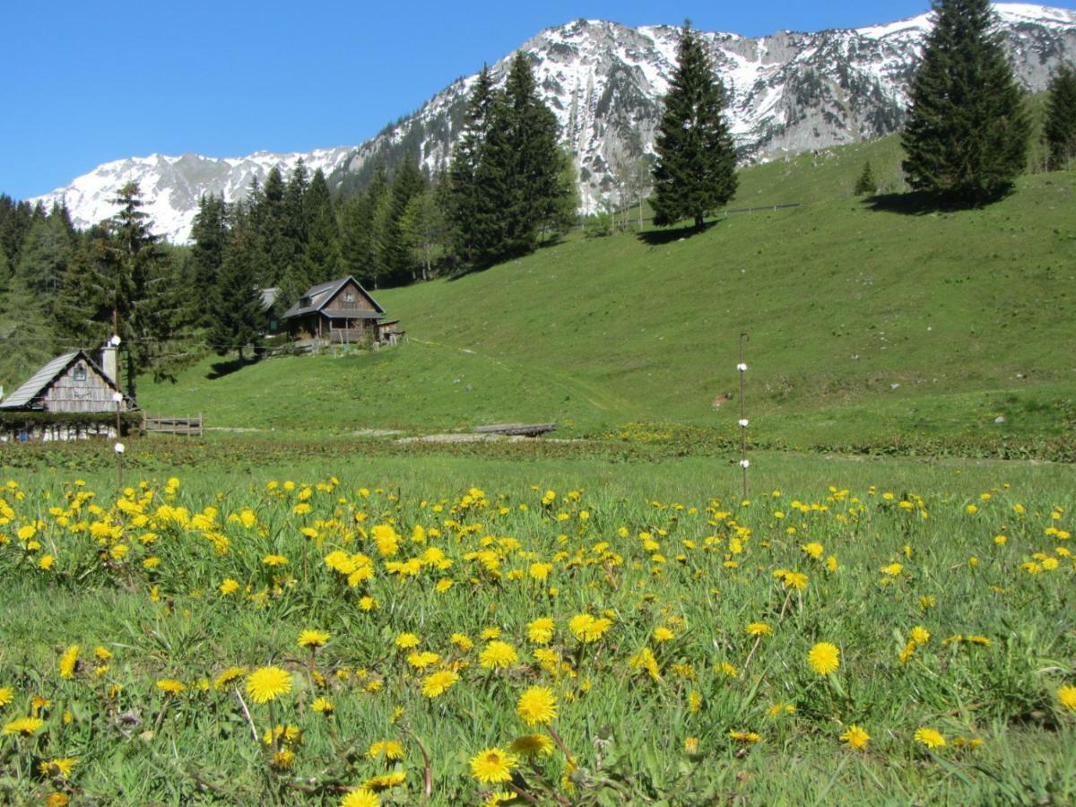Almgasthaus Seebergalm Turnau Eksteriør billede