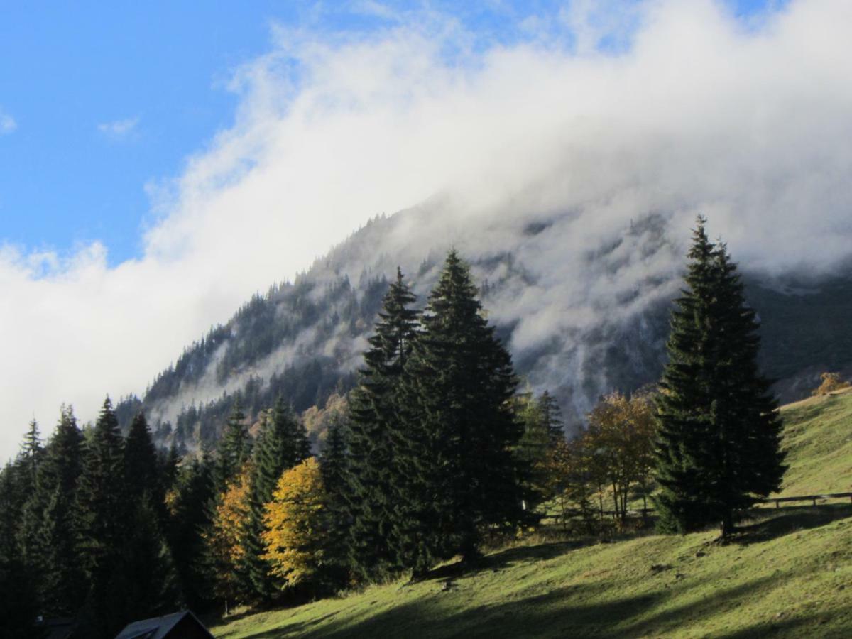 Almgasthaus Seebergalm Turnau Eksteriør billede